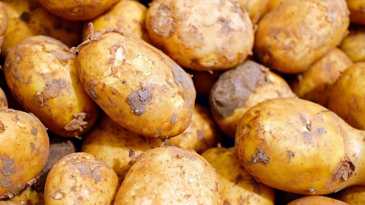 Националната асоциация на картофопроизводителите обяви, че не е доволна от