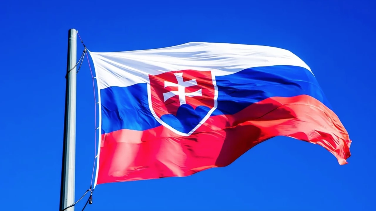 Президентката на Словакия Зузана Чапутова заяви днес че ще оспори