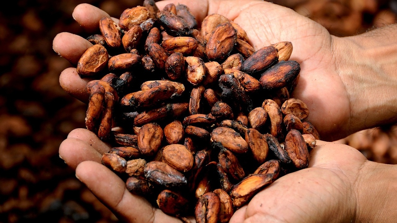 Високите цени на какаото водят до поскъпване на шоколада преди Великден