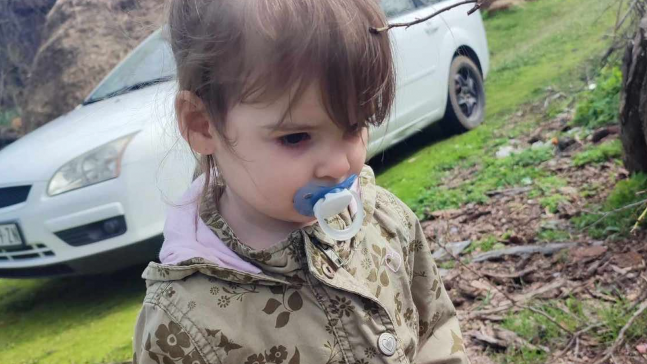 Интерпол издирва 2-годишно момиченце, изчезнало преди седмица в Сърбия