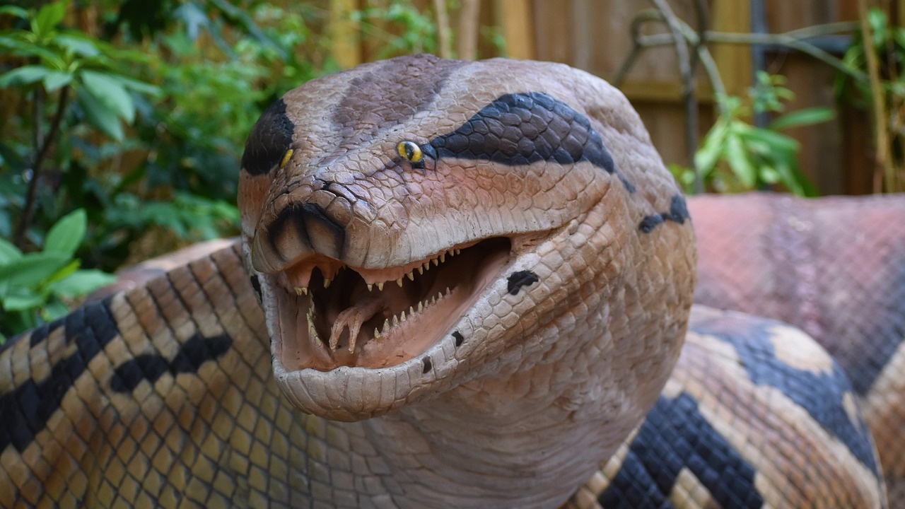 Древна змия, живяла на територията на днешна Индия, вероятно е тежала един тон