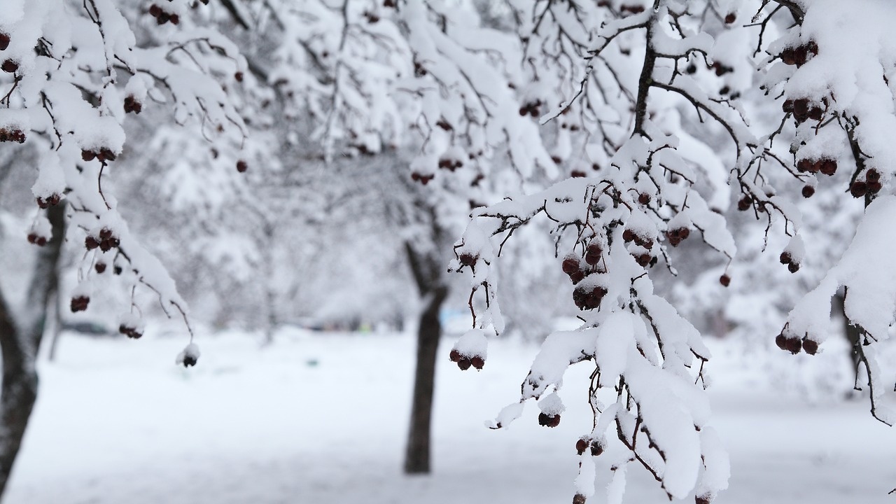 Неочаквано обилен снеговалеж в Хелзинки
