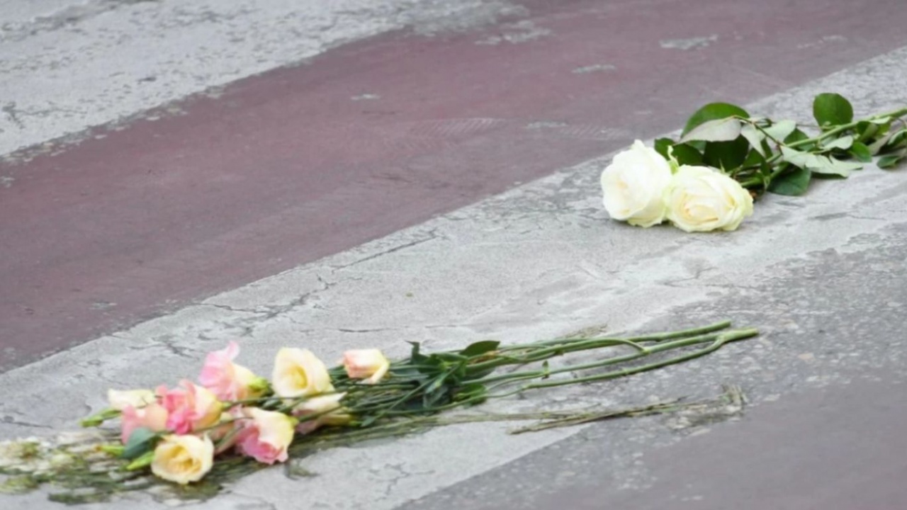 Старт на делото за смъртта на 14-годишното момче на пешеходна пътека в София