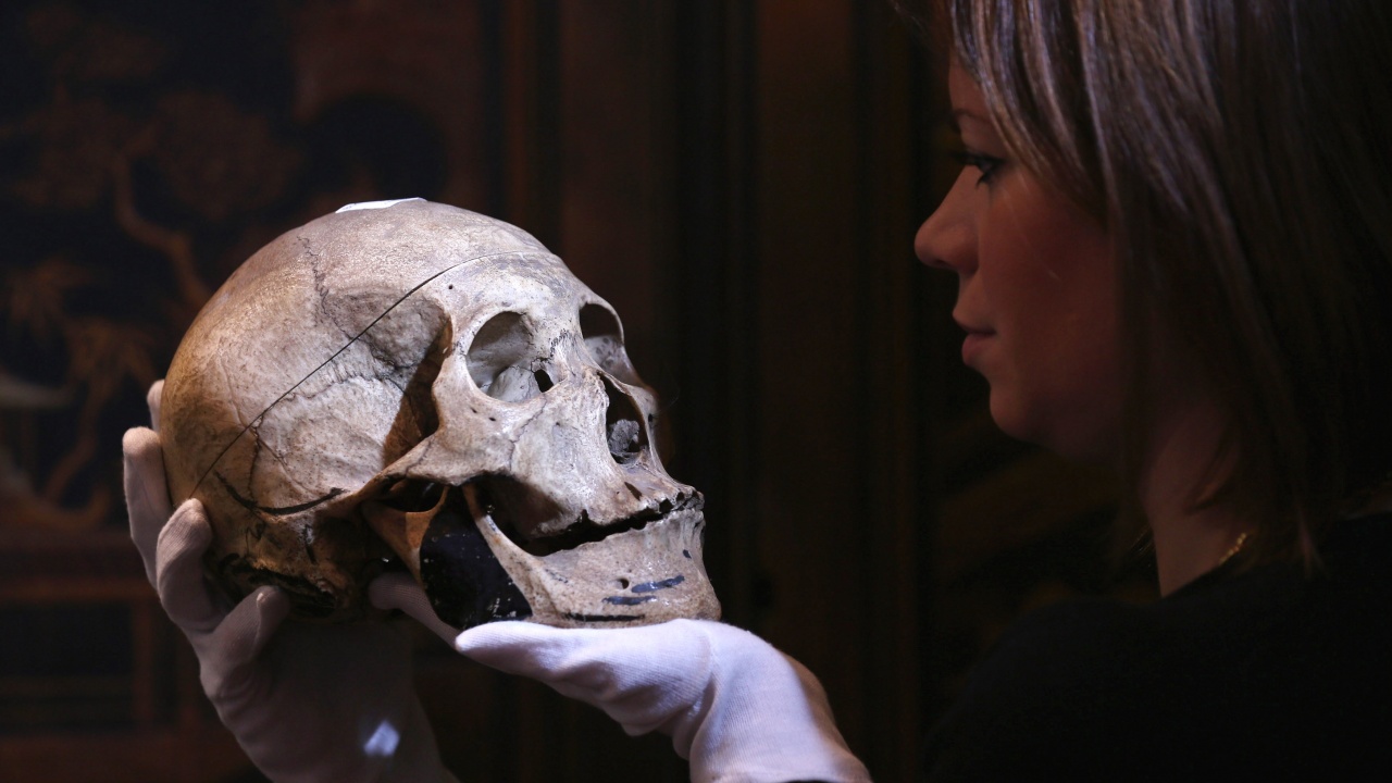 Реконструираха лицето на неандерталска жена, живяла преди 75 000 години