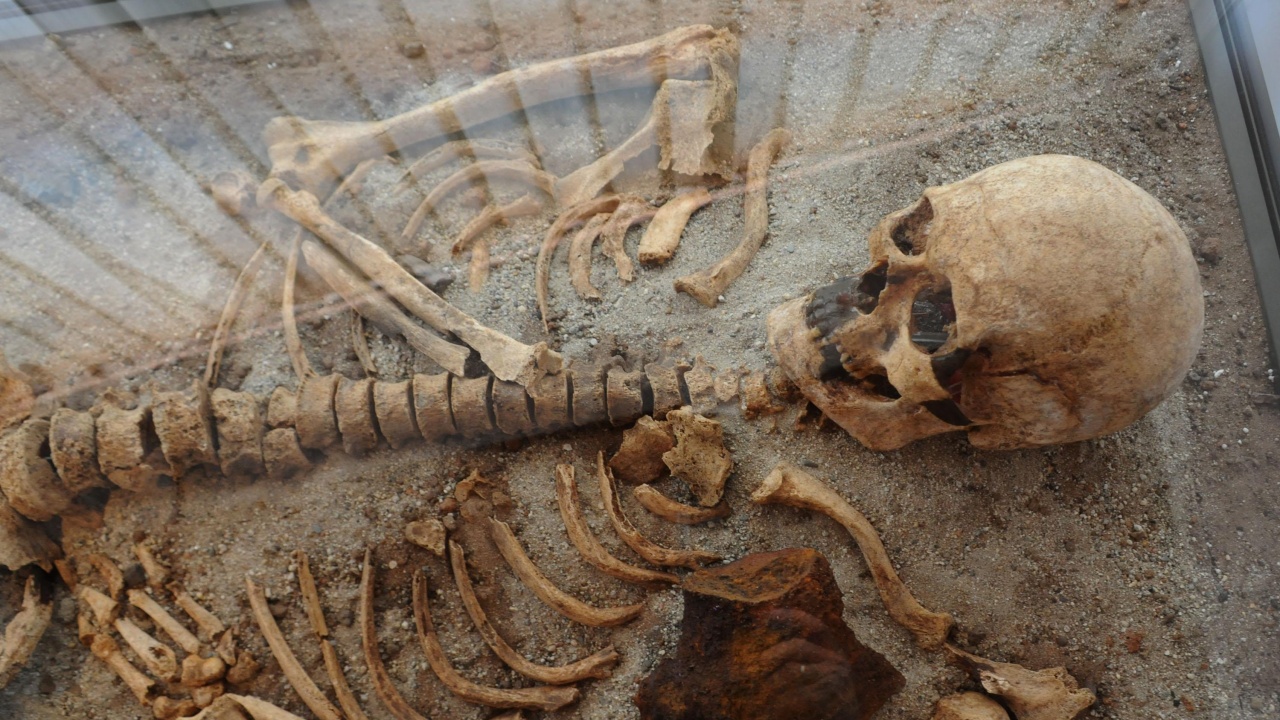 Откриха скелет на гигант край Средец