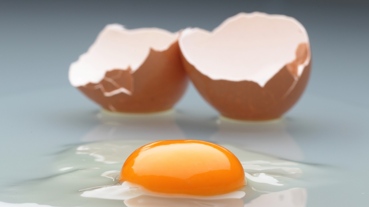 Ваксината за птичи грип се прави от яйца и това притеснява учените
