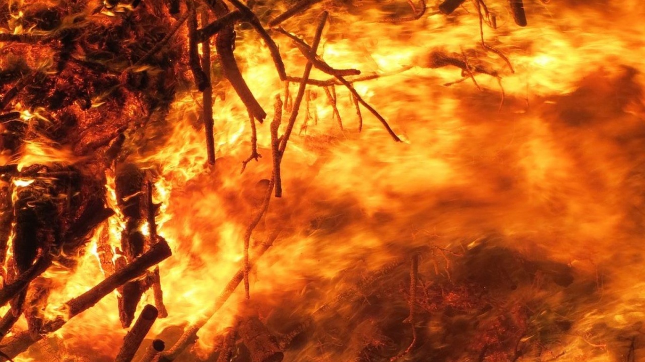 Голям горски пожар бушува в Чанаккале