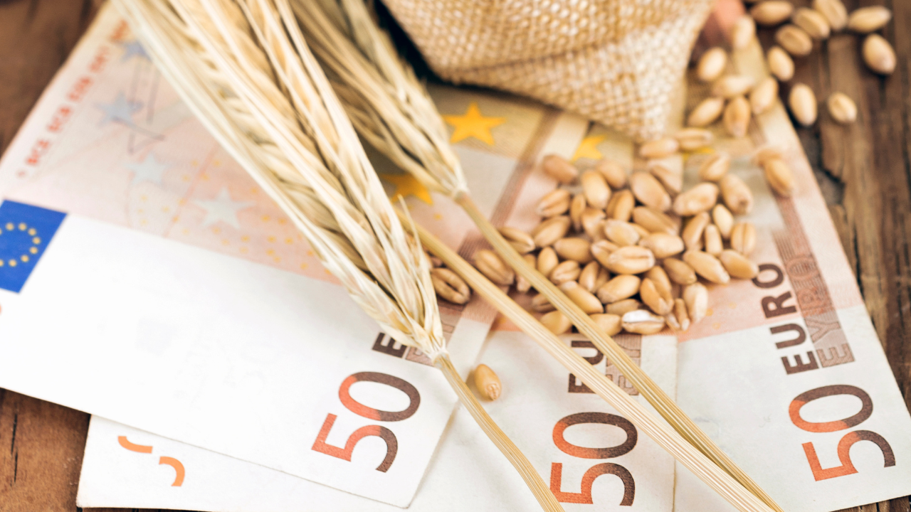 Цените на много от основните зърнени стоки продължават да спадат