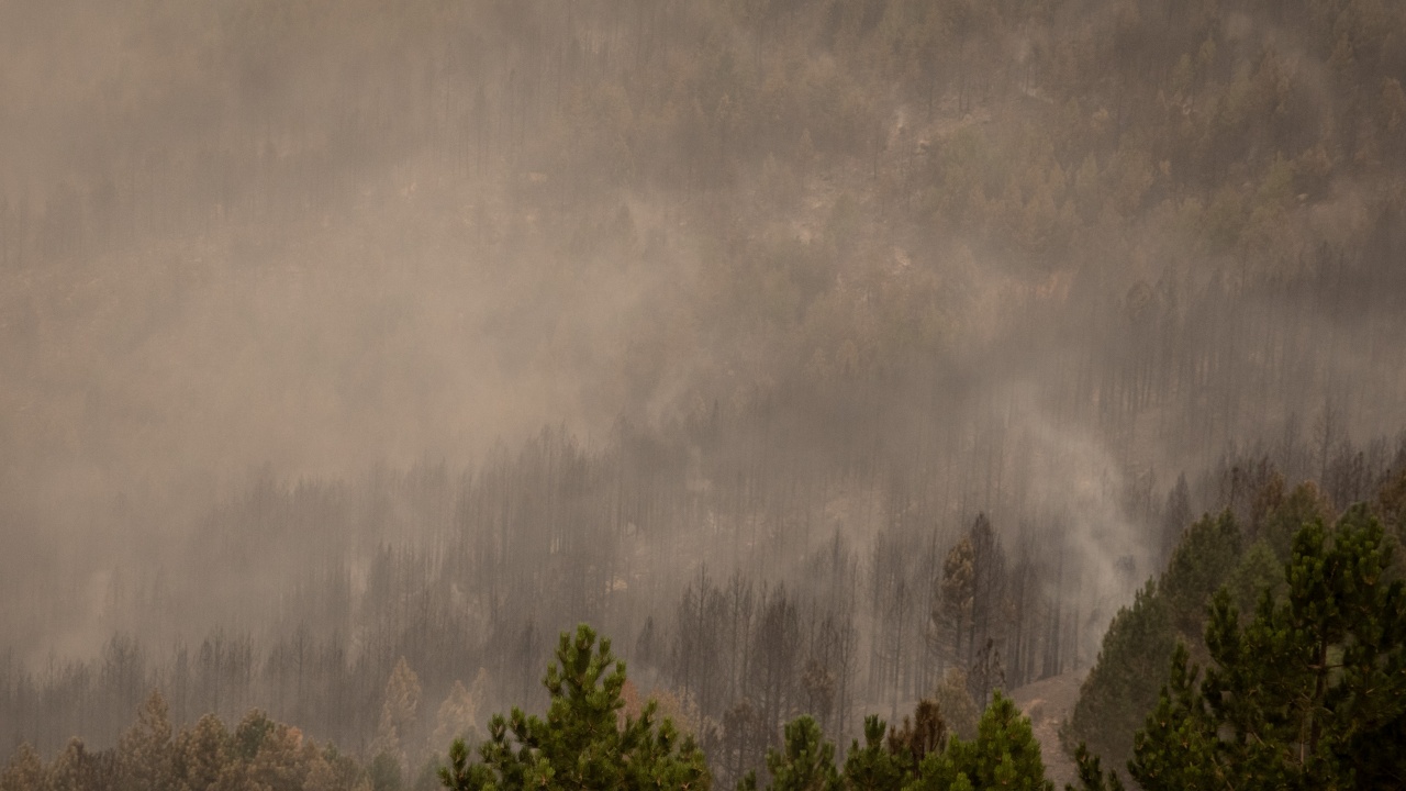 Турция отчита петкратно увеличение на горските пожари