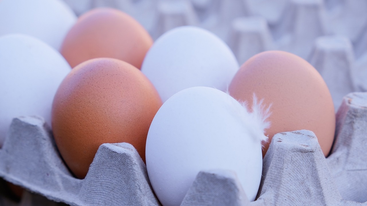 ЕС връща митата върху вноса на украински яйца и захар