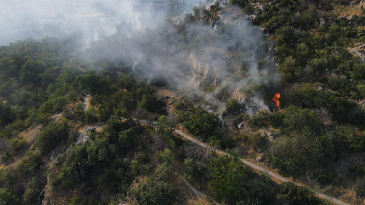 Пожар на най-високото Пловдивско тепе - Младежкия хълм