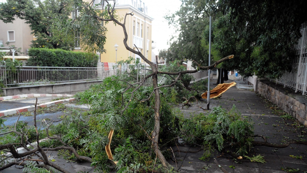 Порой и силен вятър нанесоха щети във Видинско