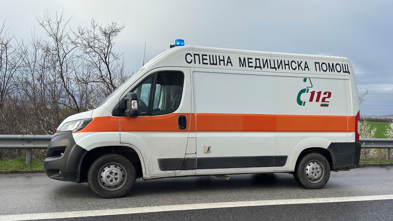 Камион удари лека кола на пътя Плевен-Ловеч. Пострадаха майка и дъщеря