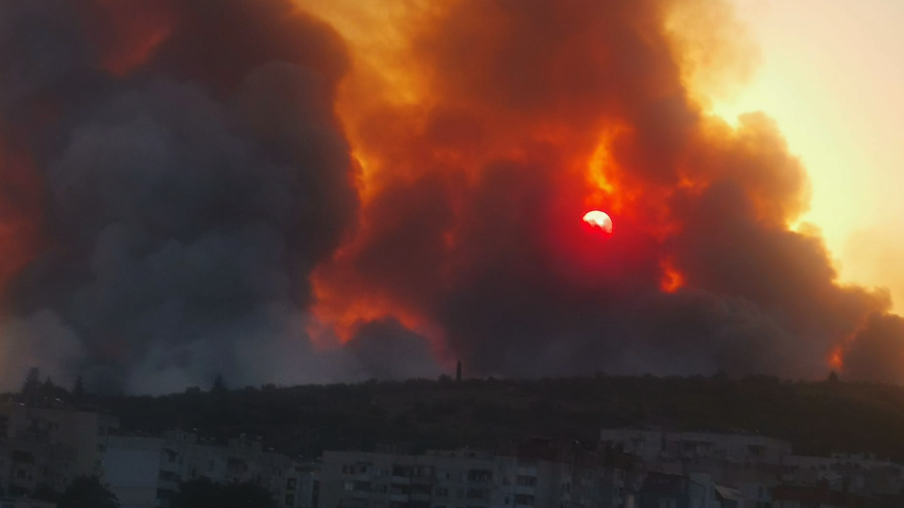 Огънят пълзи към Тракийския университет, диви животни загинаха в пожара