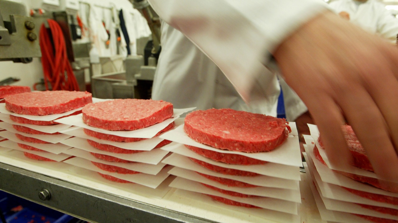 Великобритания разрешава лабораторното месо