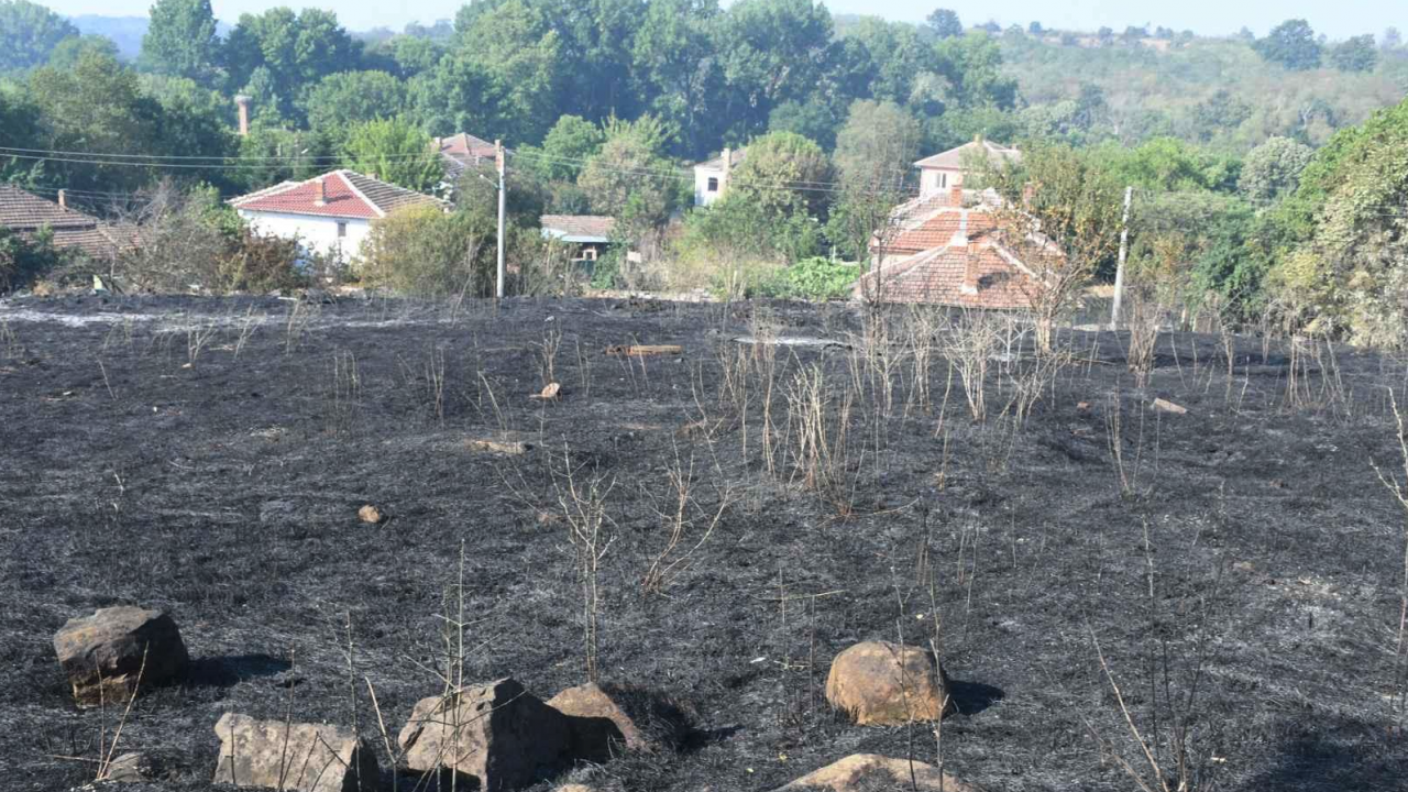 Експертни комисии ще констатират щетите от пожарите по земеделски култури и загинали селскостопански животни
