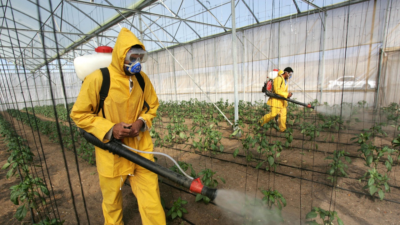 Пестицидите съдържат все повече опасни за човека вечни замърсители