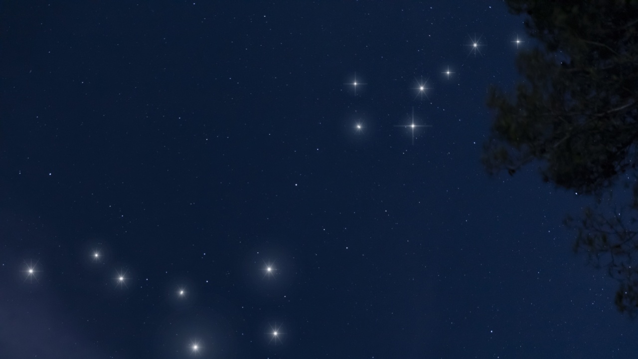 До 100 падащи звезди на час ще се наблюдават в пика на Персеидите