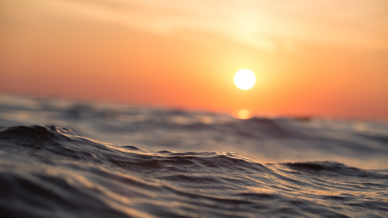 Черно море е едно от най-бързо затоплящите се в света
