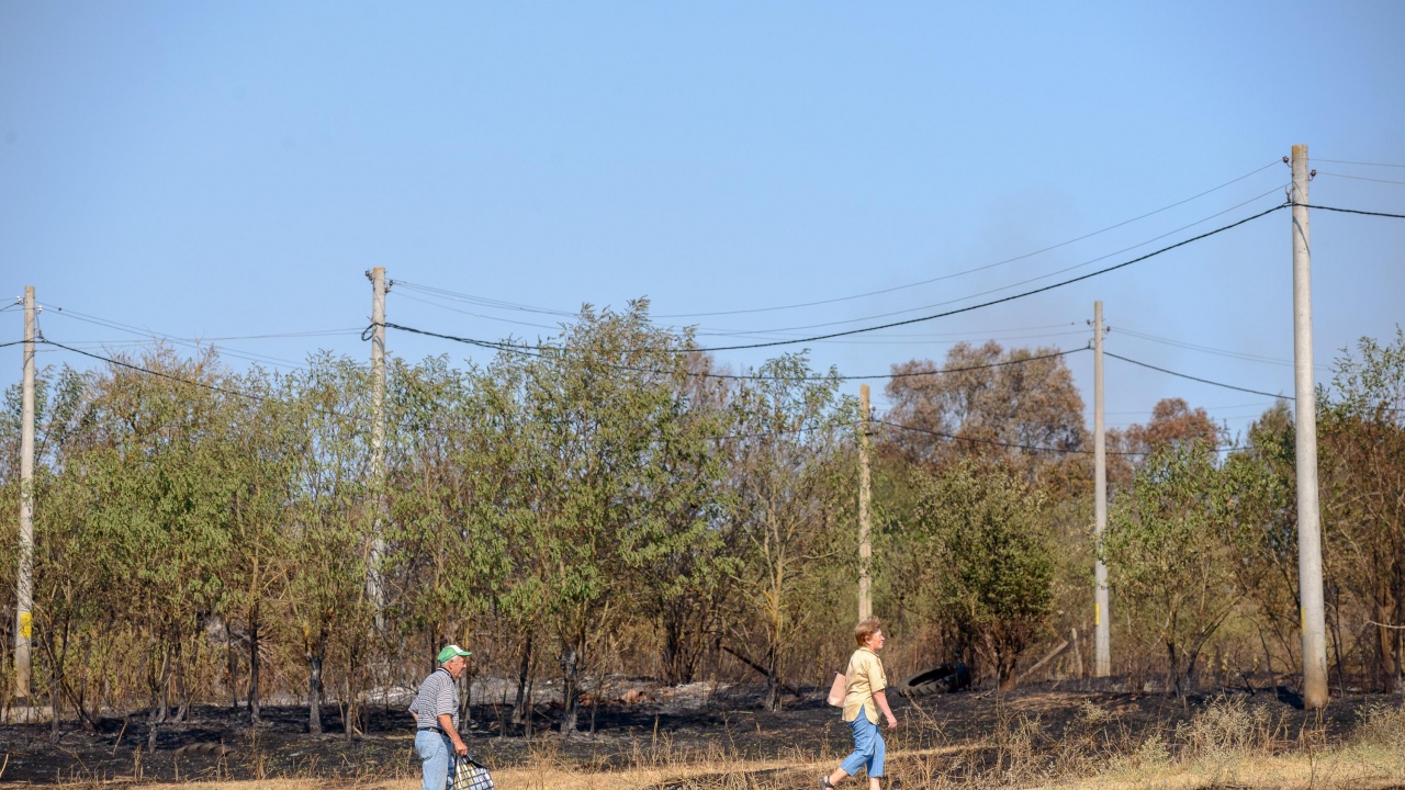 ДФЗ преведе 180 000 лв. помощ на четирима земеделци, пострадали при пожарите