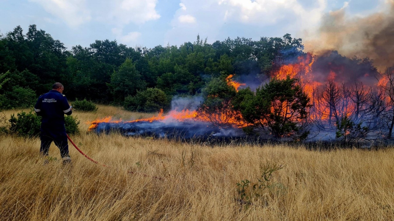 Два от трите фронта на пожара в Пъстрина планина са потушени