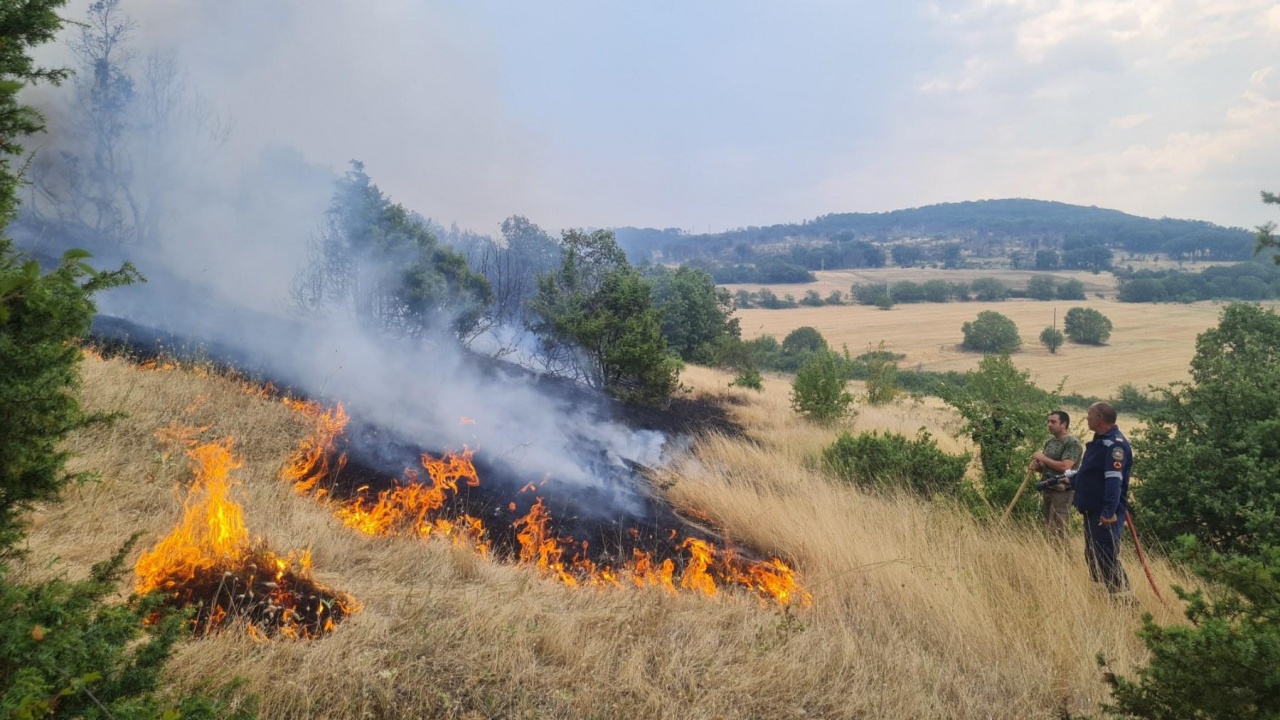 Пожарът в планината Пъстрина е изгасен