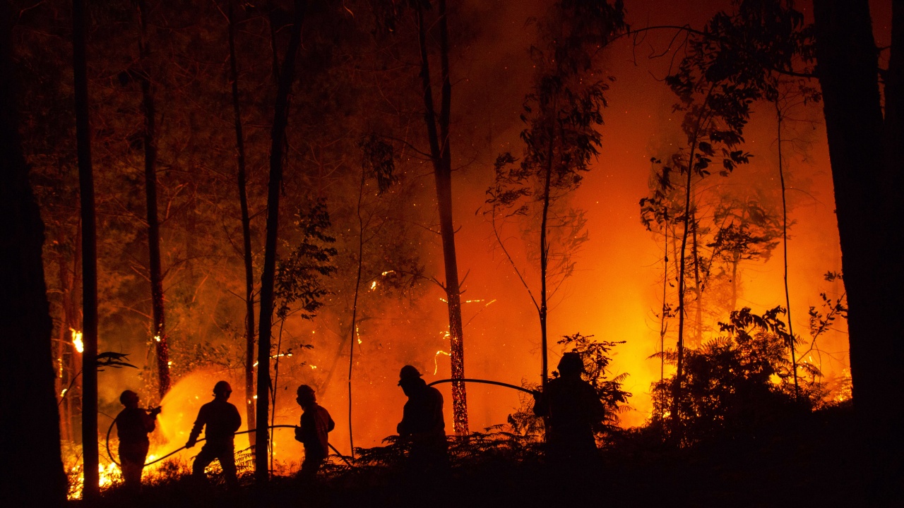 Мъж подпали гора край Годеч