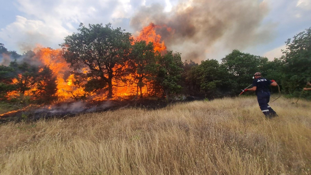 Пожар в сухи треви стигна на сто метра от родопско село