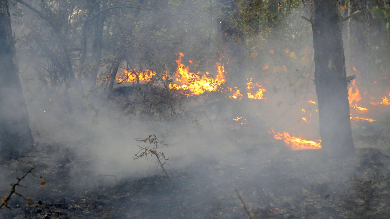 Локализиран е пожарът близо до Буяновац, Южна Сърбия