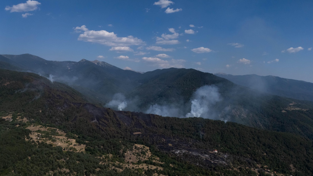 Потушен е огънят в гората край село Лозница