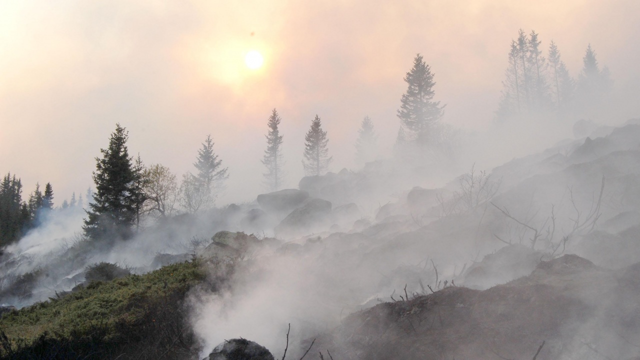 Пожарът над Невестино се разраства, има опасност за къщите 
