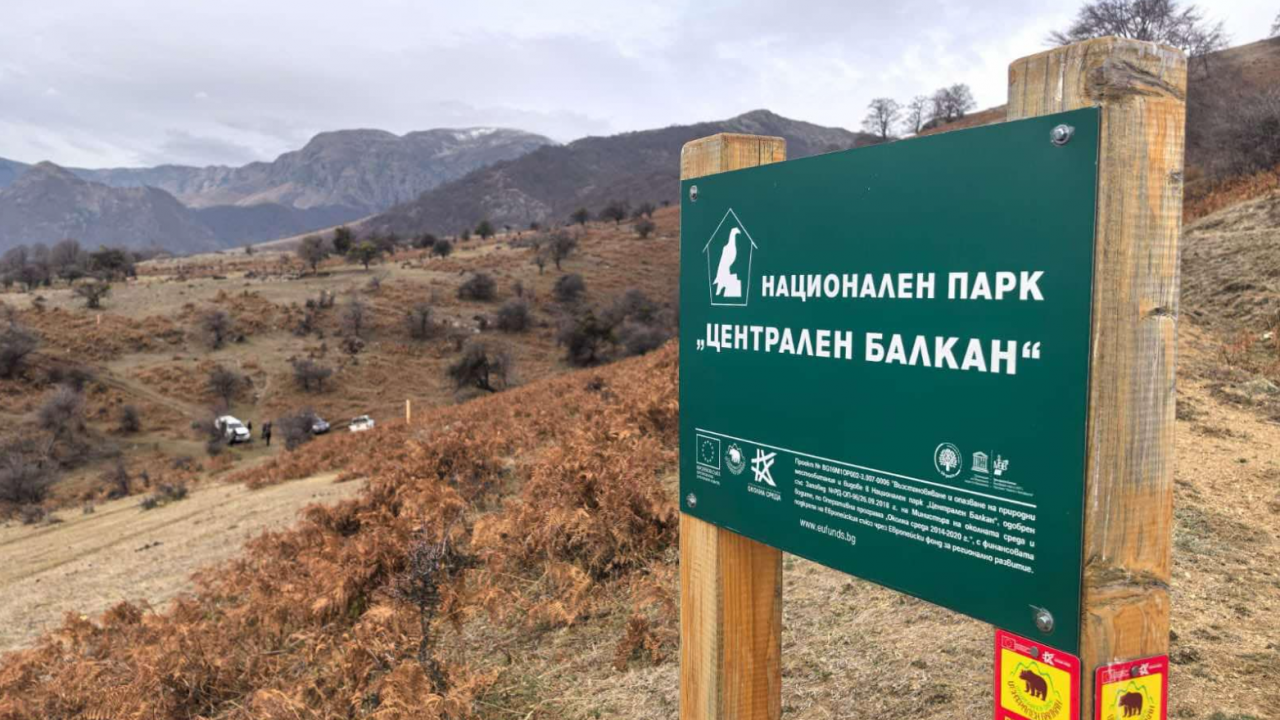 Рейнджърите от "Централен Балкан" премахнаха незаконен фургон и се натъкнаха на разчленени животински трупове