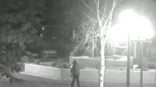 Общинари качиха в интернет видео на крадец на храсти