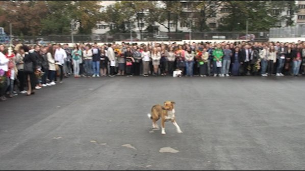 Куче откри новата учебна година